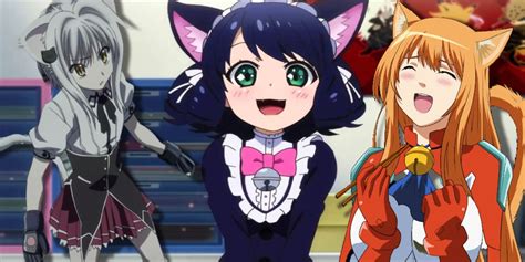 nude catgirls|35 Greatest Anime Cat Girl Characters (Ranked)